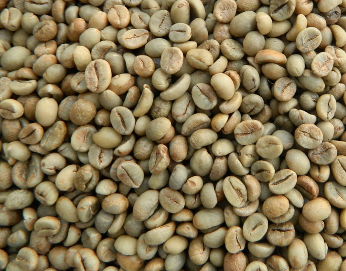 Fine robusta