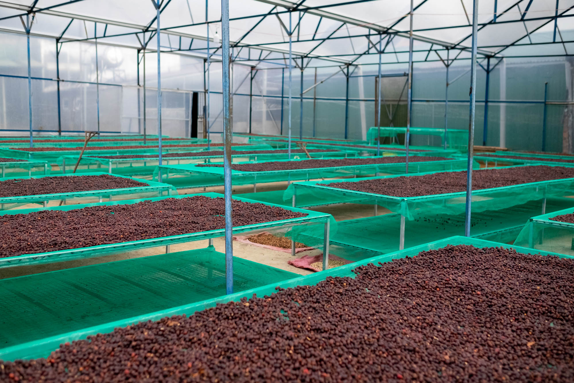 drying#scroll-content