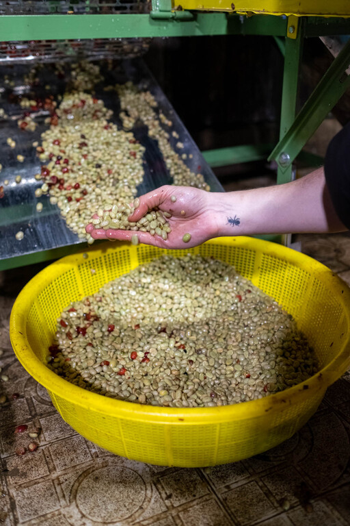 Pulping