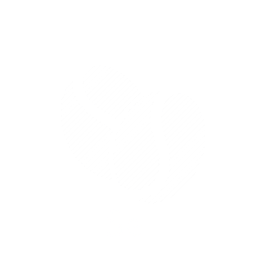 Fine Robusta - Oxy-NOxy