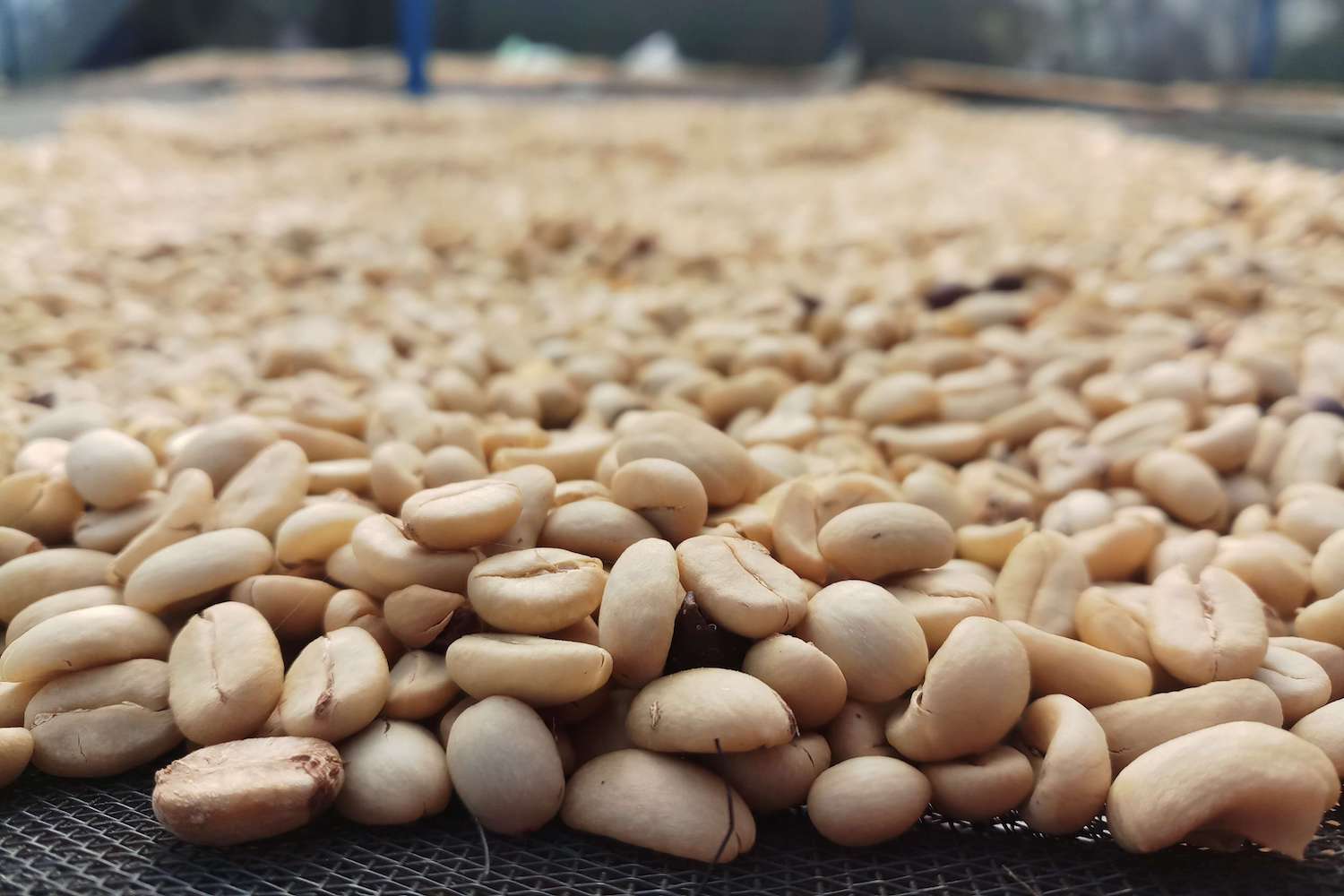 processing#scroll-content